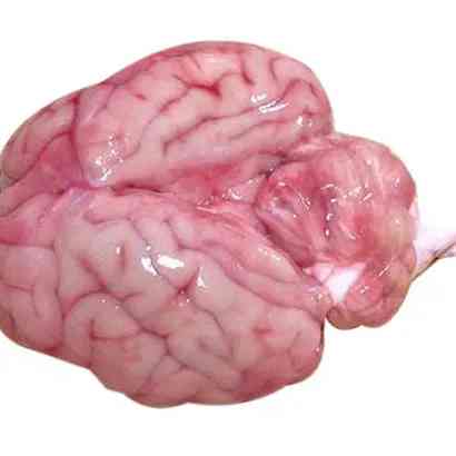 Mutton Brain